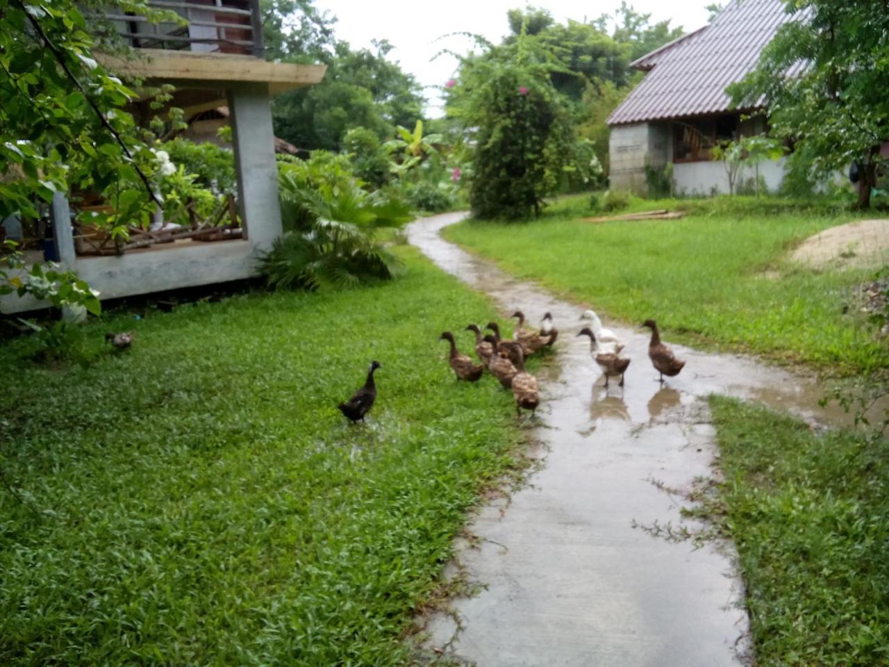 Ing Doi Guest House Pai Luaran gambar